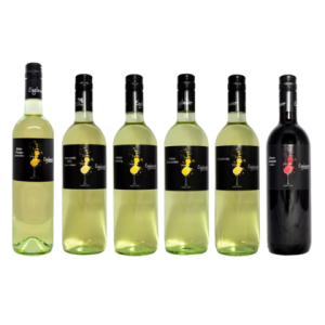 6 x 0,75l Weinprobierpaket