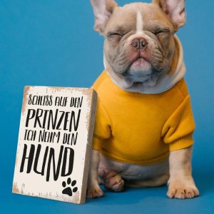 Holzschild „Prinz+Hund“