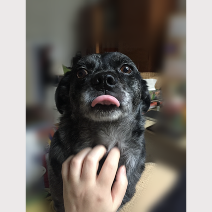 Portrait - Das Leben des Brian - Image 2