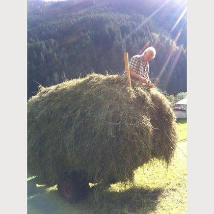 50g Bergkräuter im FOR YOU JuCO-Geschenksbeutel - Image 3