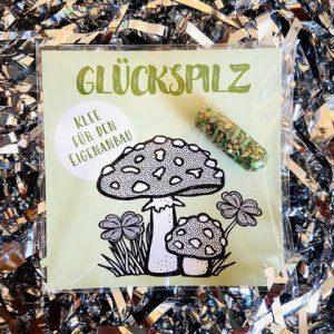 „Glückspilz“ GRÜMI inkl. Blühanleitung