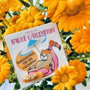 „Frida, die faule Gärtnerin“ GRÜMI inkl. Blühanleitung