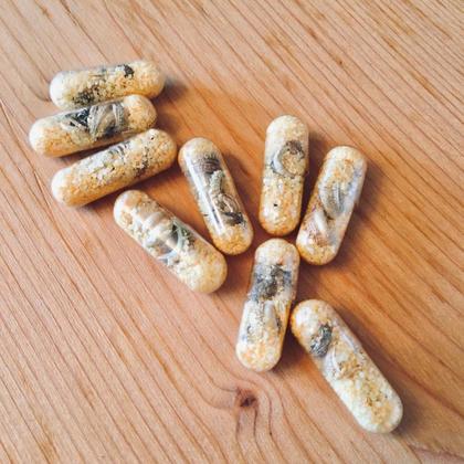 "Frida, die faule Gärtnerin" GRÜMI inkl. Blühanleitung - Image 3