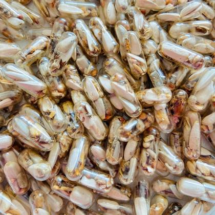 "Für meinen Spatz" GRÜMI inkl. Blühanleitung - Image 3