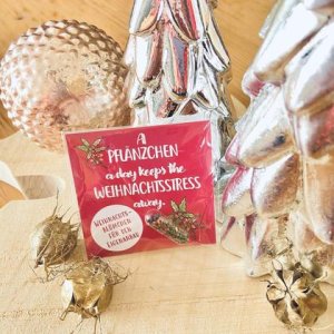 „A Pflänzchen a day keeps the Weihnachtsstress away“ GRÜMI inkl. Blühanleitung
