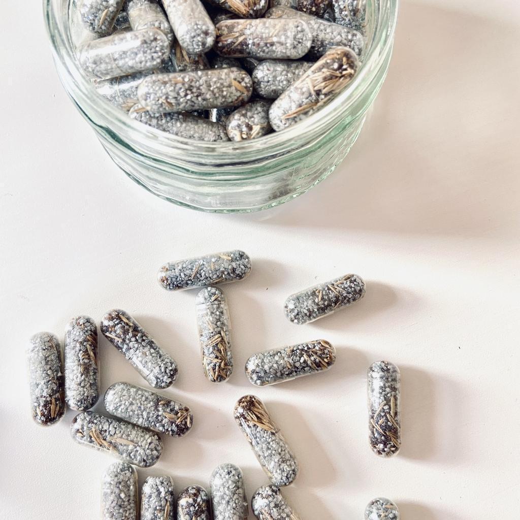 "Fly me to the Mohn" GRÜMI inkl. Blühanleitung - Image 3