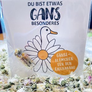 „Du bist etwas Gans besonderes“ GRÜMI inkl. Blühanleitung
