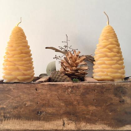 HONIGBUB KERZE ZAPFEN