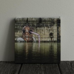 Foto auf Leinwand: Taucher am Donaukanal