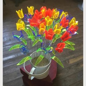 Tulpen