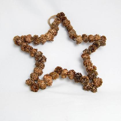 Weihnachtlicher Stern aus Lärchenzapfen - Image 2