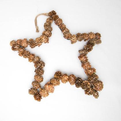 Weihnachtlicher Stern aus Lärchenzapfen - Image 3