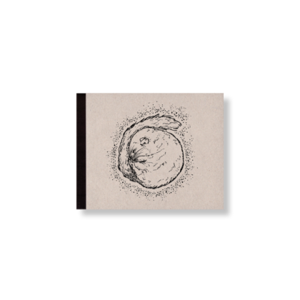 SKIZZENBUCH *Siebenschläfer*