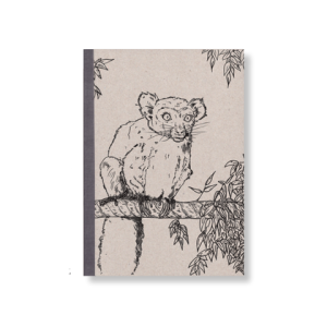 SKIZZENBUCH *Roter Vari*, DIN A5, 144 Seiten