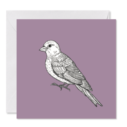 GRUSSKARTE *Fräulein Sperling*