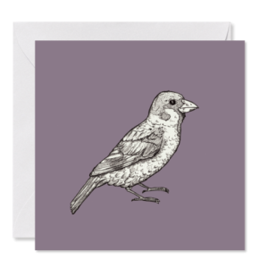 GRUSSKARTE lila *Herr Spatz* , 14 x 14 cm