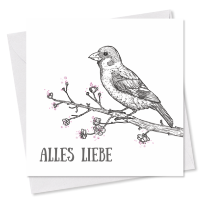 MINI-GRUSSKARTE *Alles Liebe* Spatz auf Zweig