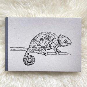 SKIZZENBUCH *Chamäleon*, DIN A5 quer, 144 Seiten