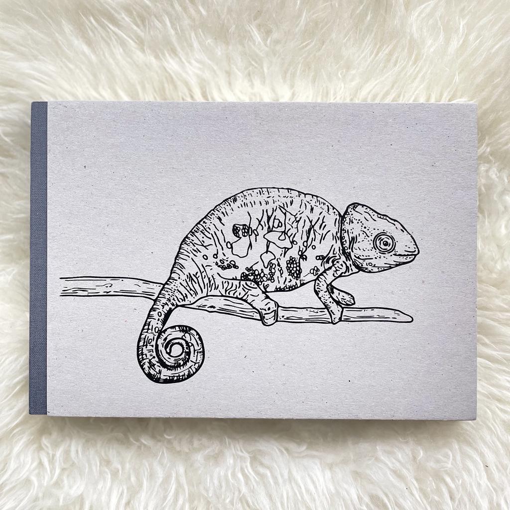 SKIZZENBUCH *Chamäleon*