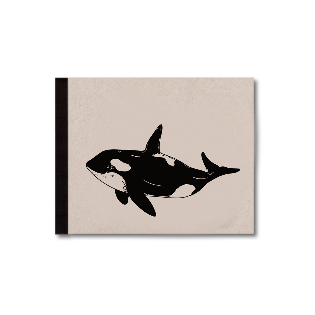 SKIZZENBUCH *Kleiner Orca*