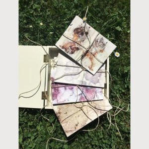 Eco Print- Grußkarten, 4 Motive