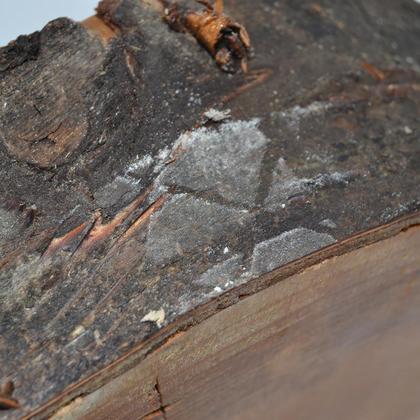 Holz Wanduhr 25 cm Wildkirsche Baumscheibenuhr Holzuhr Unikat handmade - Image 2