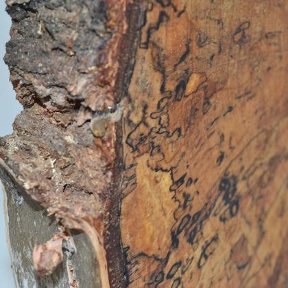 Holzuhr Holz Wanduhr Uhr 34x31.5 Birke Baumscheibenuhr Holzdeko Unikat handmade - Image 4