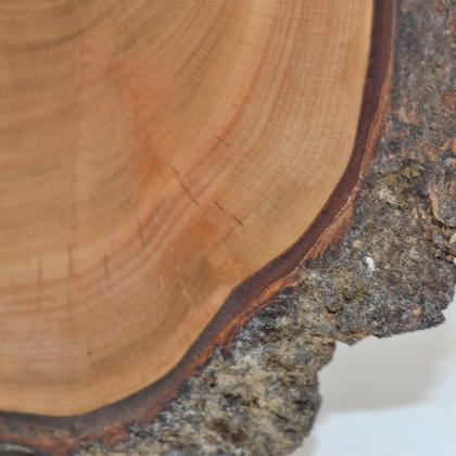 Holz Wanduhr 24x23 cm Wildkirsche Baumscheibenuhr Holzuhr Unikat handmade - Image 4