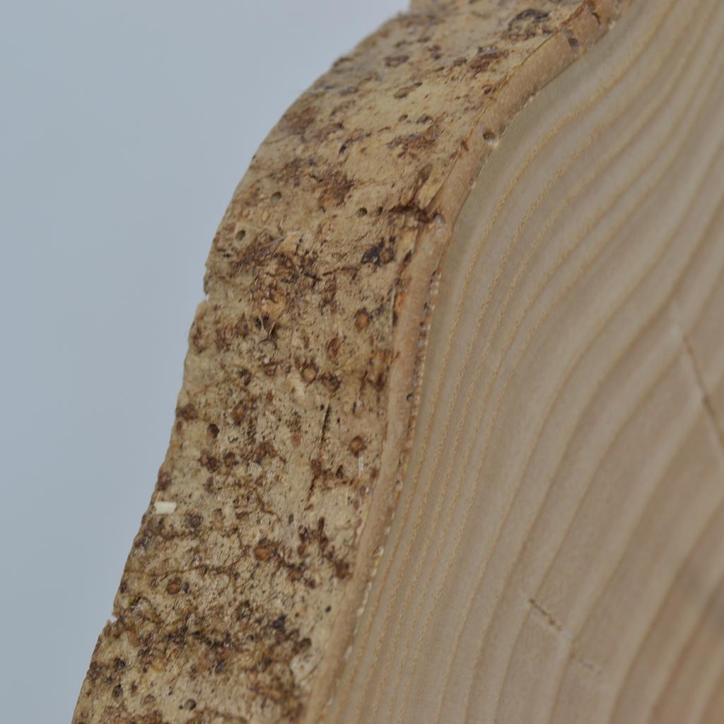 Holz Wanduhr 28x24 cm Baumscheibenuhr Esche handmade Unikat - Image 3