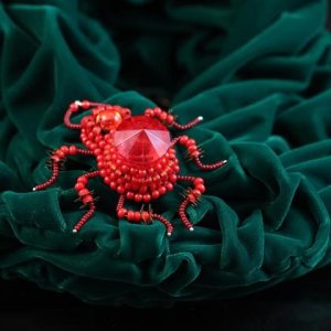 Schmuckkäfer/Brosche „Roy Rubin“