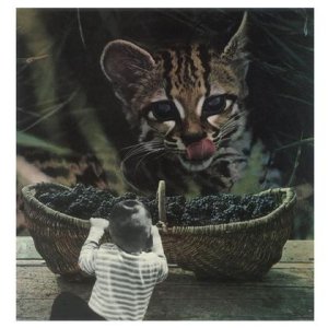 „Wollen wir teilen?“