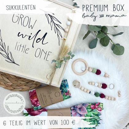Premium Box | Baby & Mama | Sukkulenten
