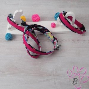 Hundehalsband mit Leine / Set