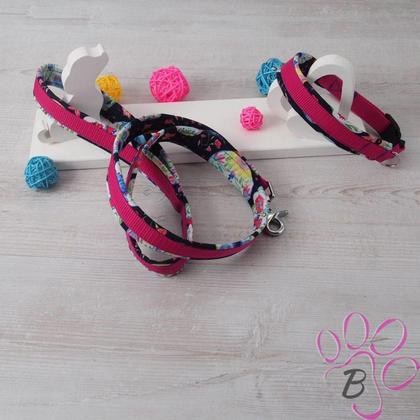 Hundehalsband mit Leine / Set