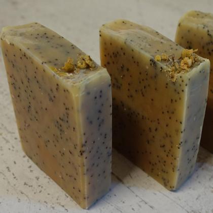 Gärtnerseife Erdferkel