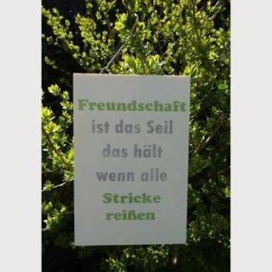 Spruch-Holzschild „Freundschaft grün“