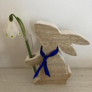 Frühlingsgruß vom Hasen