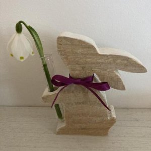 Frühlingsgruß vom Hasen