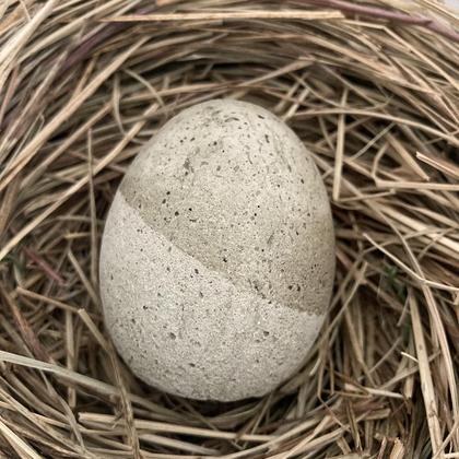 Betonei halb-halb Perle