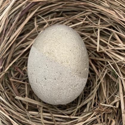 Betonei halb-halb Kristall