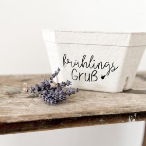 Kartonschachtel „frühlingsgruss“