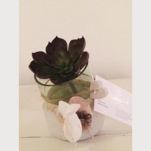 Übertopf Glas/Beton für Pflanze und Co.