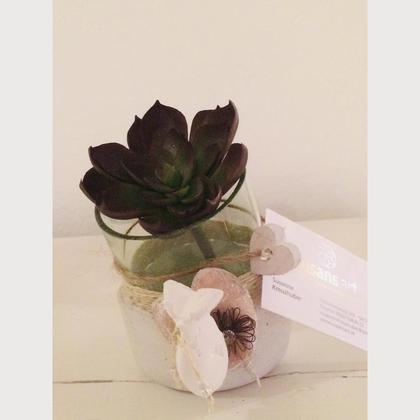 Übertopf Glas/Beton für Pflanze und Co.