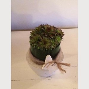 Übertopf Beton/Glas für Pflanze und Co. Grünes Glas IV