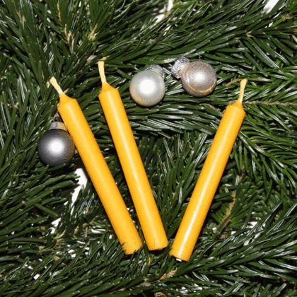 10 Christbaumkerzen aus Bienenwachs