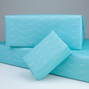 gerollt Geschenkpapier Fächer Türkis