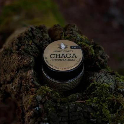 Chaga Lippenbalsam
