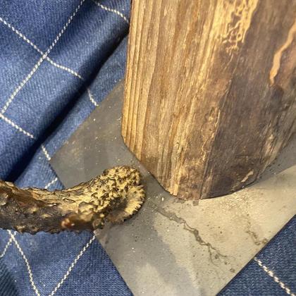 Altholz Lampe Schreibtischlampe Holzbalken Rustikal Landhaus UNIKAT Shabby TIROL - Image 4