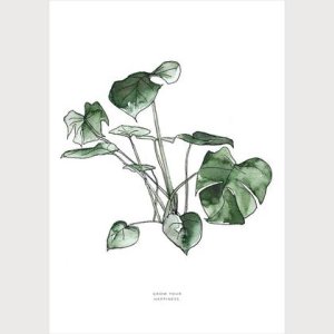 Grow your happiness | Monstera deliciosa, Philodendron