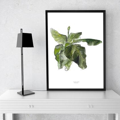 Plant your dreams | Bananenbaum - Image 2